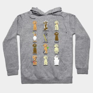 Cockapoo Puns Hoodie